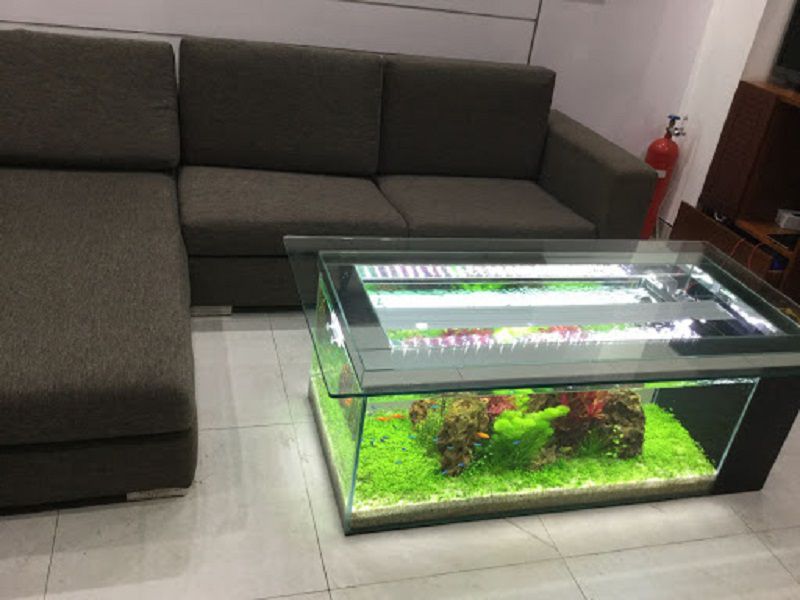 bàn sofa hồ cá đơn giản