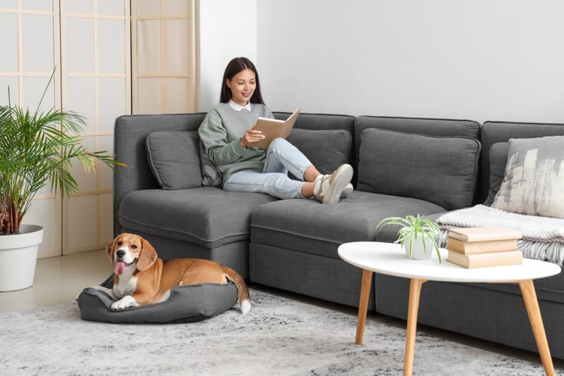 sofa nằm đọc sách chữ L