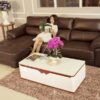 ghế sofa màu nâu trầm hv-911