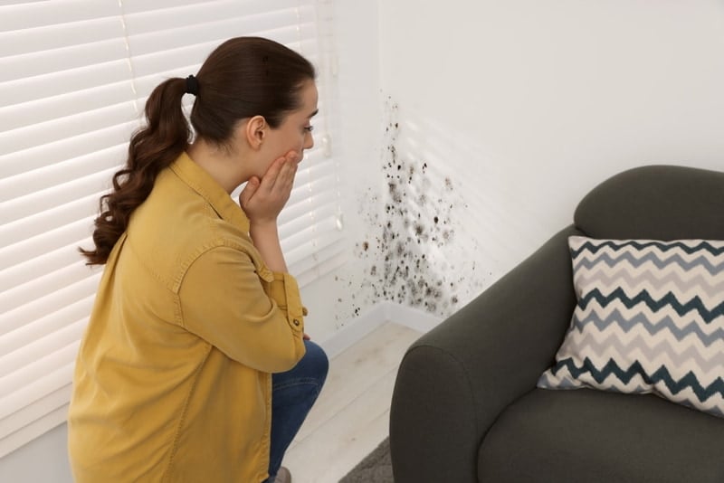 những lưu ý khi làm sạch ghế