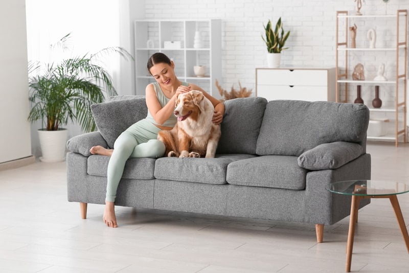 sofa phù hợp với nhiều không gian sống