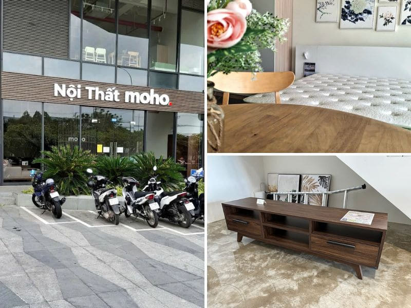 nội thất moho