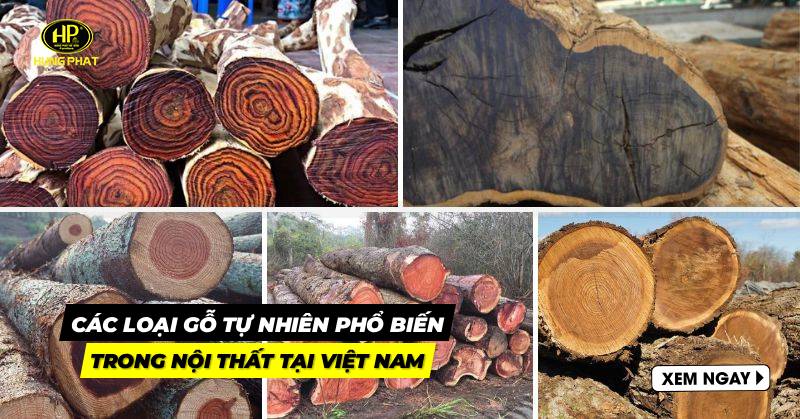 các loại gỗ tự nhiên