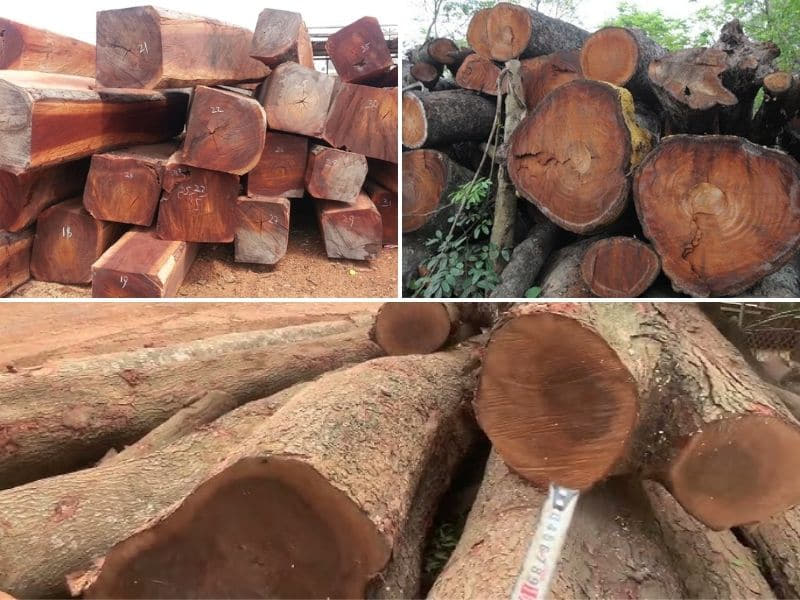 cách nhận biết gõ mật