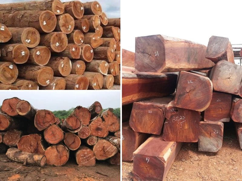 giá gỗ gõ đỏ