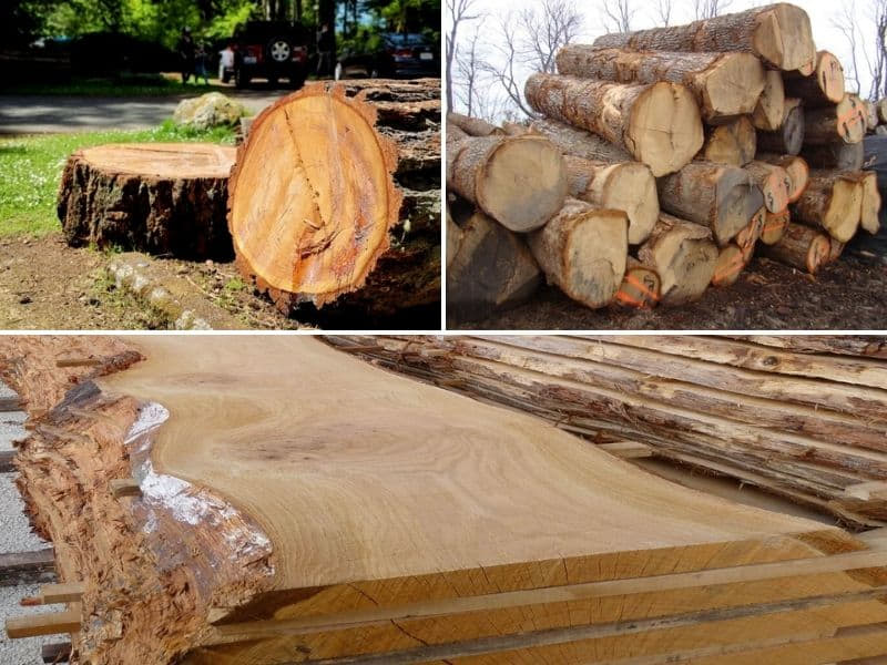 giá gỗ sồi