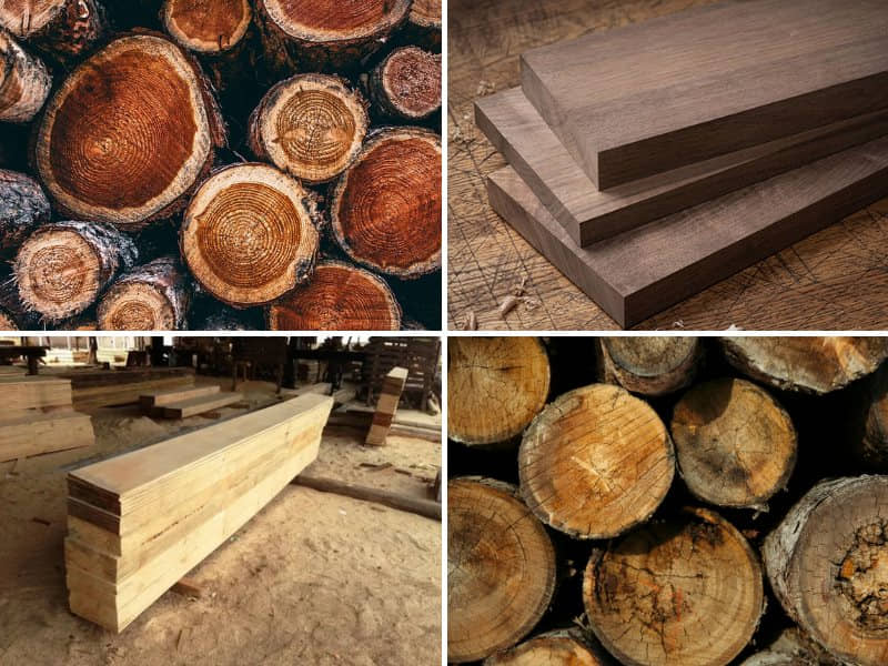 gỗ có độ bền vượt thời gian