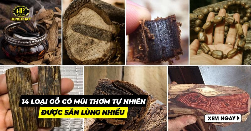 gỗ có mùi thơm