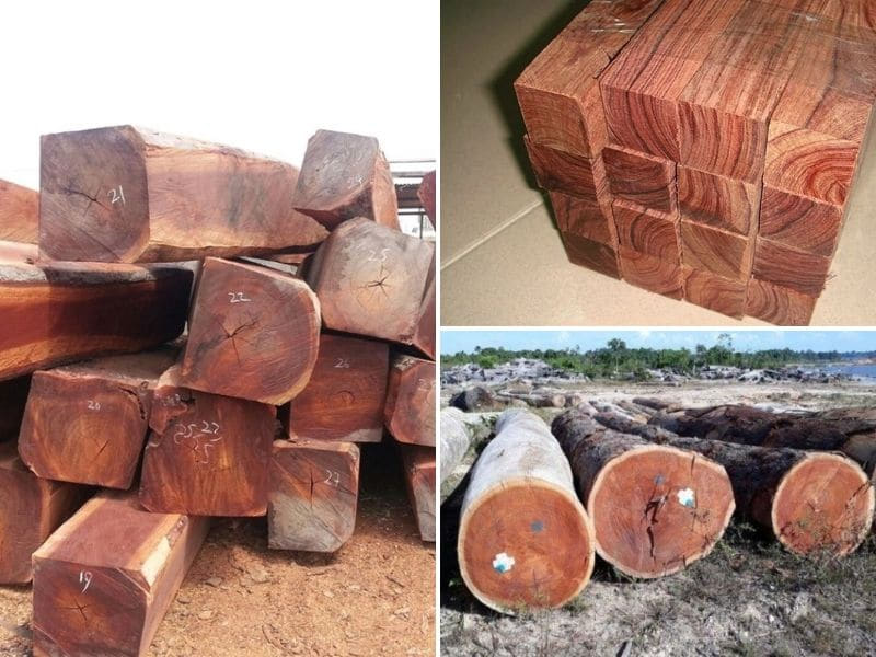 gõ đỏ nhập từ lào