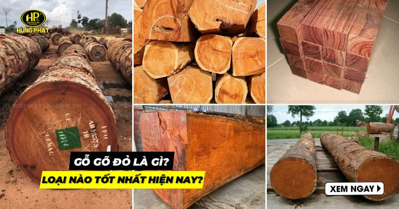 Gỗ gõ đỏ là gì? Loại nào tốt nhất hiện nay?