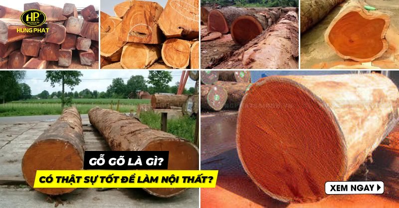 gỗ gõ