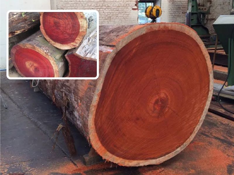 gỗ hương