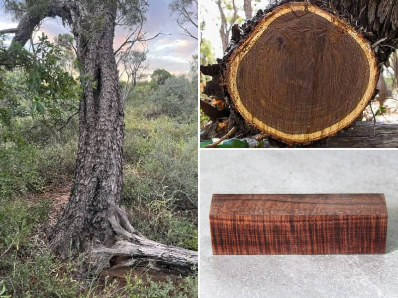 gỗ lignum vitae