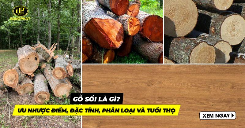 gỗ sồi là gì