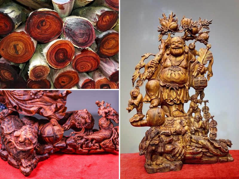gỗ sưa quý hiếm