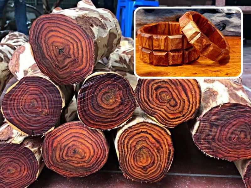 hương thơm của gỗ sưa