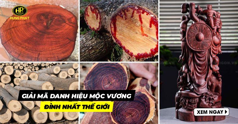 mộc vương