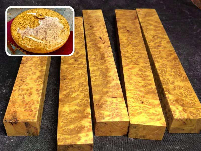 mùi hương của gỗ kháo vàng