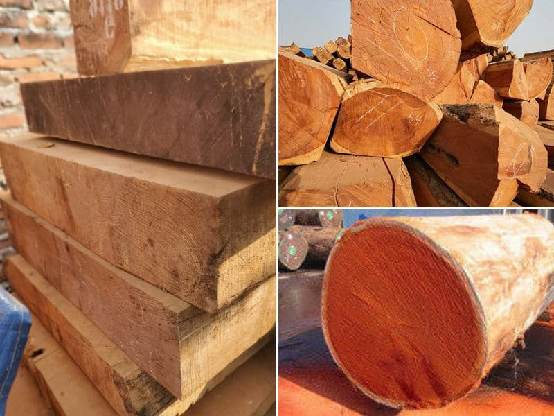 mùi hương đặc trưng từ gỗ gõ