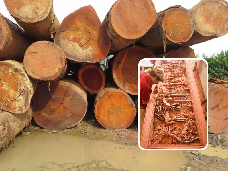 nhược điểm cần lưu ý của gỗ gõ