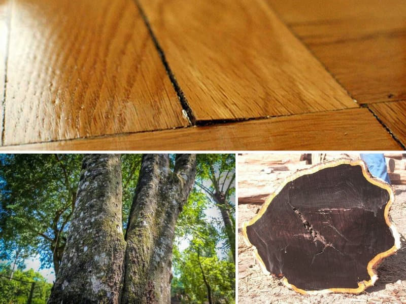 nhược điểm của gỗ tự nhiên