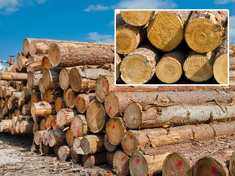 nhược điểm của gỗ