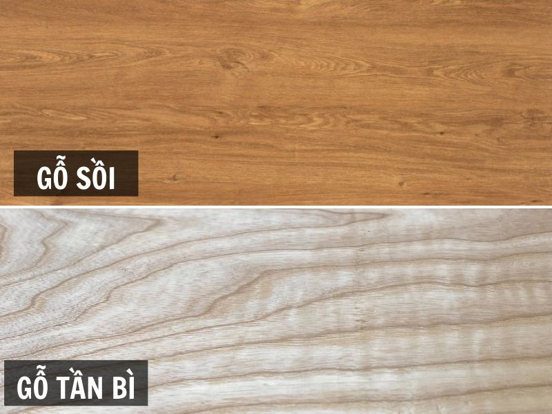phân biệt gỗ sồi