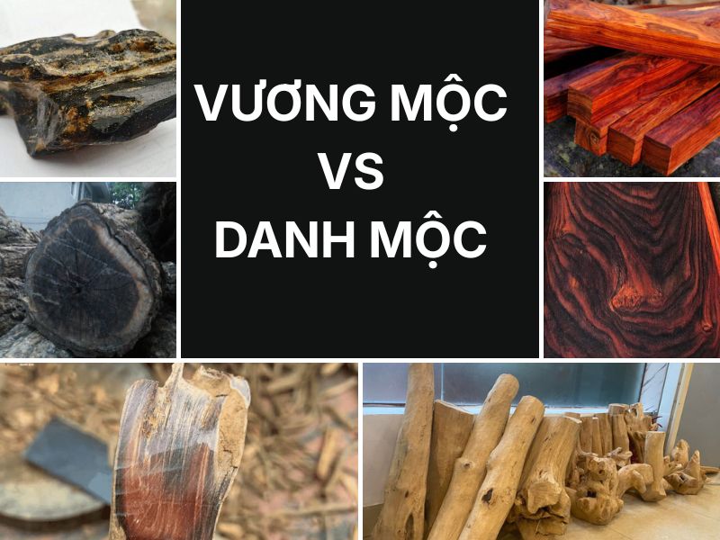 phân biệt tứ đại vương mộc và danh mộc