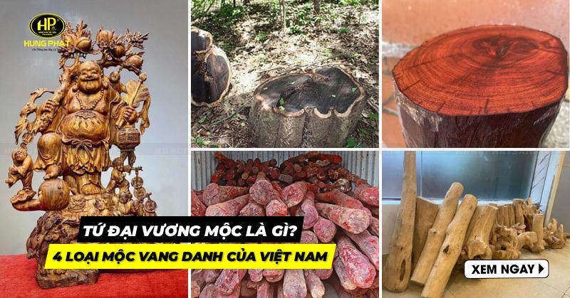tứ đại vương mộc